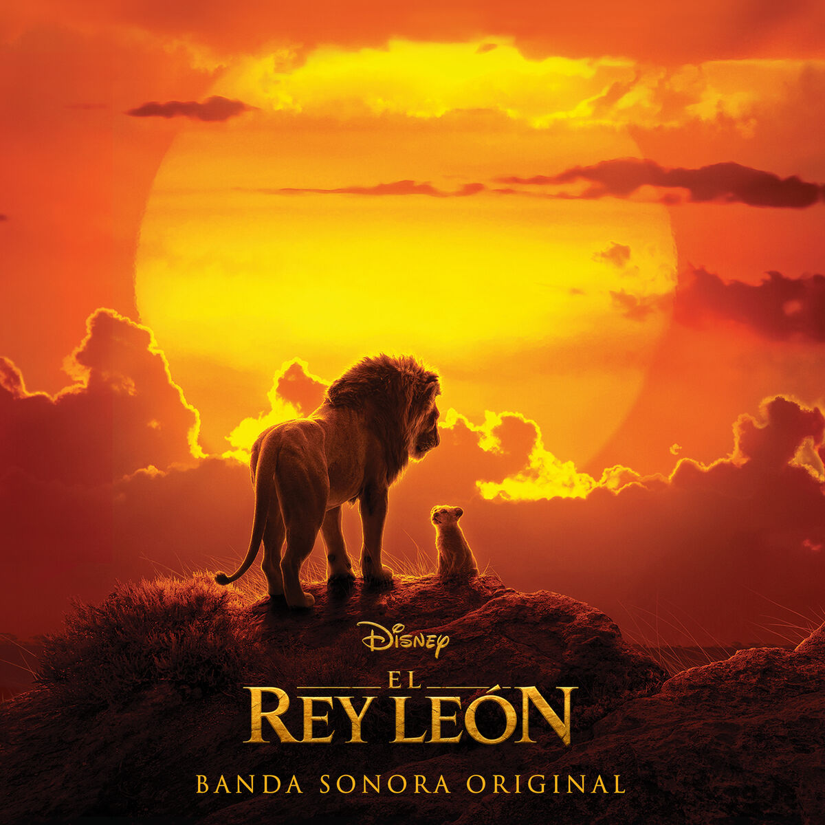 Album cover of Hakuna Matata