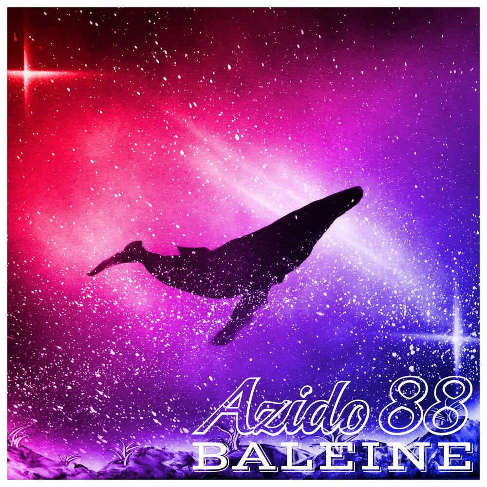 Picture of Baleine