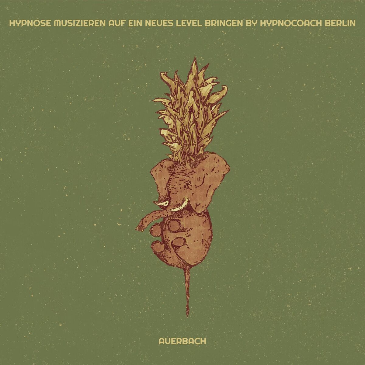 Album cover of Hypnose Musizieren Auf Ein Neues Level Bringen by Hypnocoach Berlin