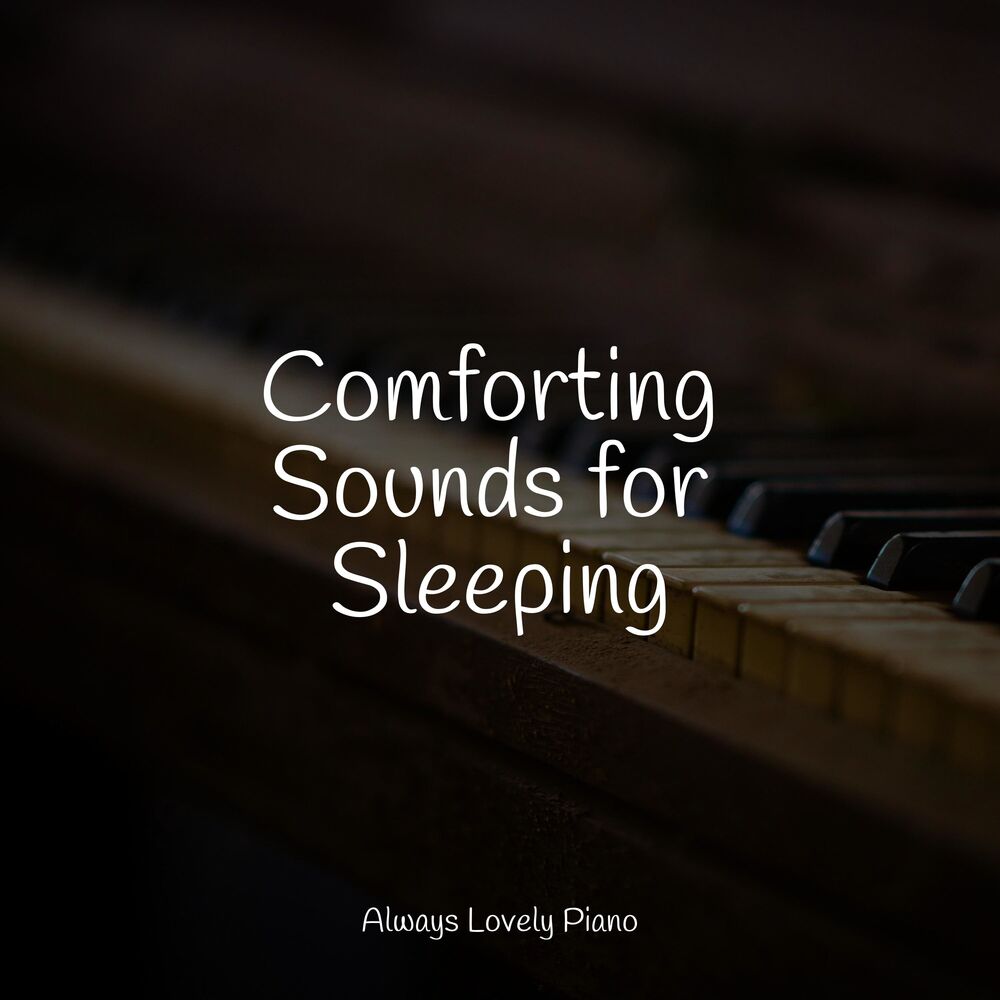 Picture of The Soothing Piano Tracks