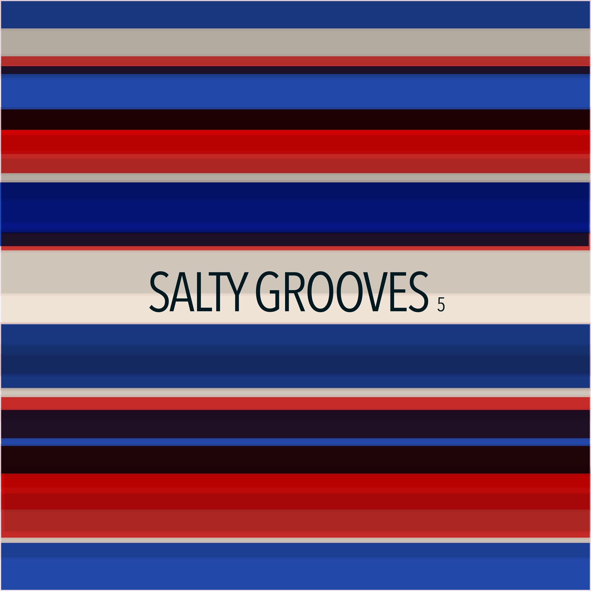 Album cover of Salty Grooves 5