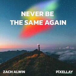 Cover of Never Be the Same Again