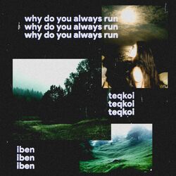 Cover of why do you always run
