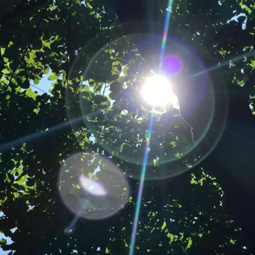 幻觉