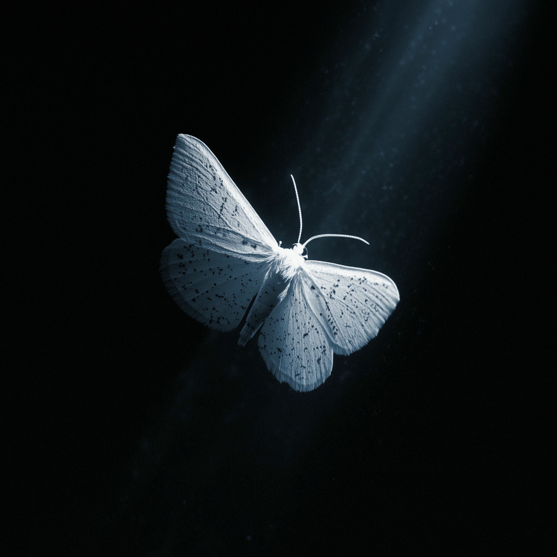 Album cover of Memories