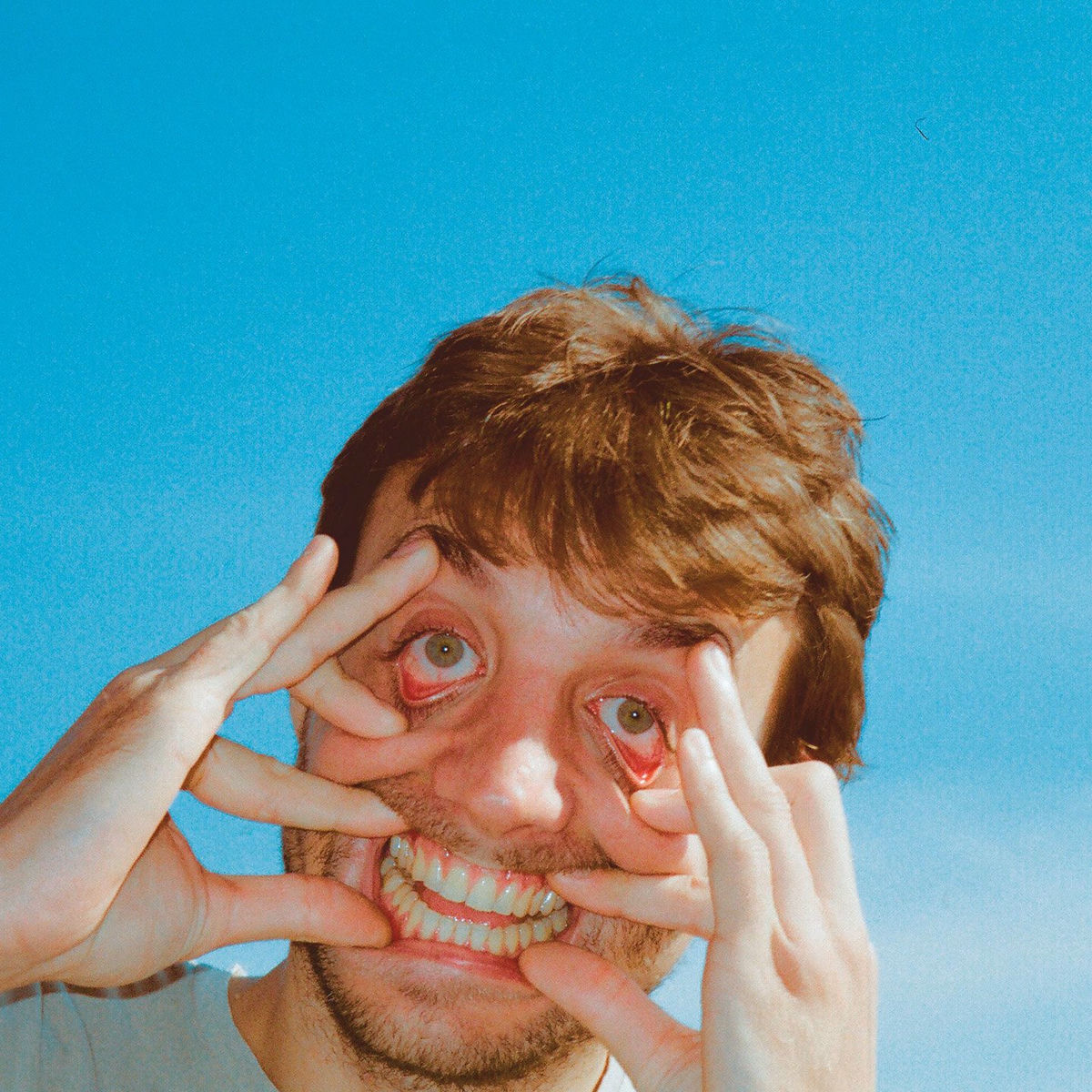 Album cover of Skalamerija