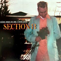 Cover of nine ways to say i love you