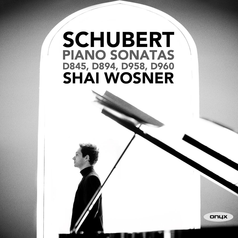 Picture of Schubert: Piano Sonatas D. 845, D. 894, D. 958, D. 960