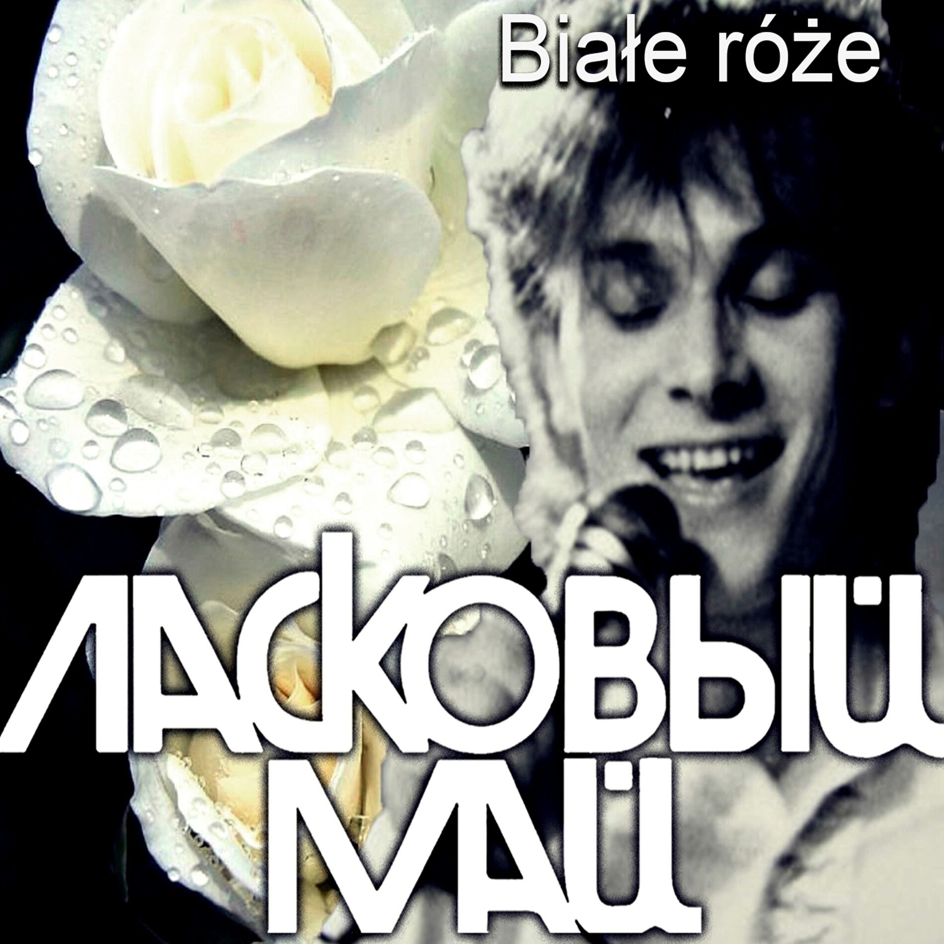 Album cover of Białe róże
