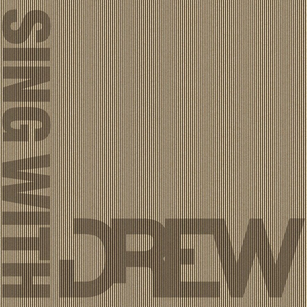 Picture of Sing With Drew