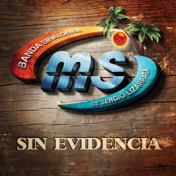 Cover of Sin Evidencia