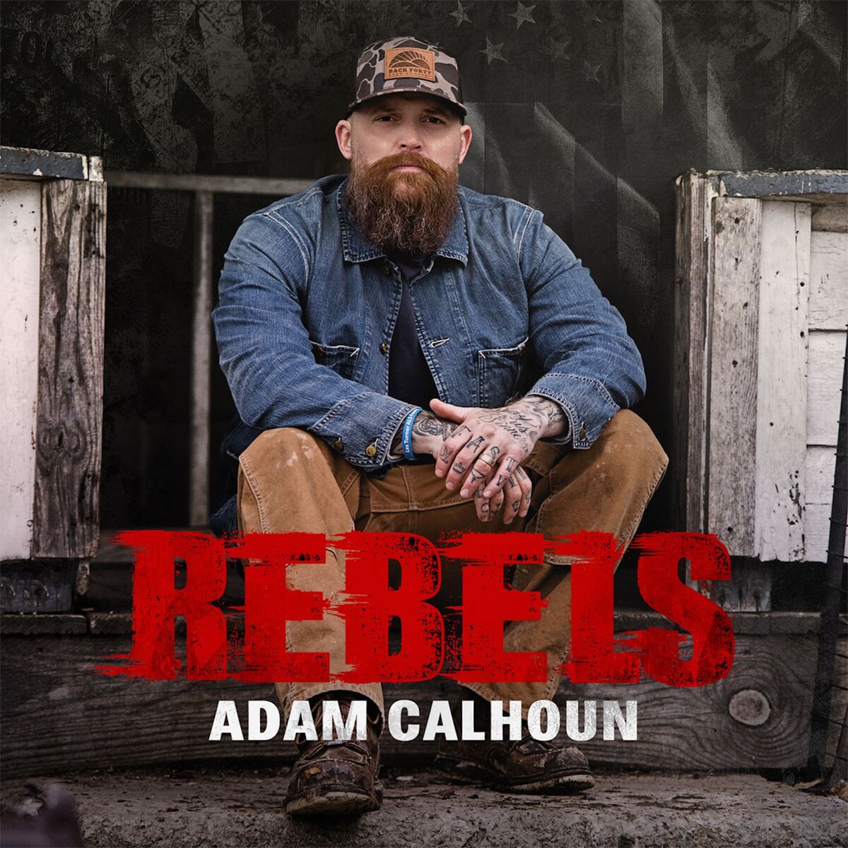 Album cover of Rebels