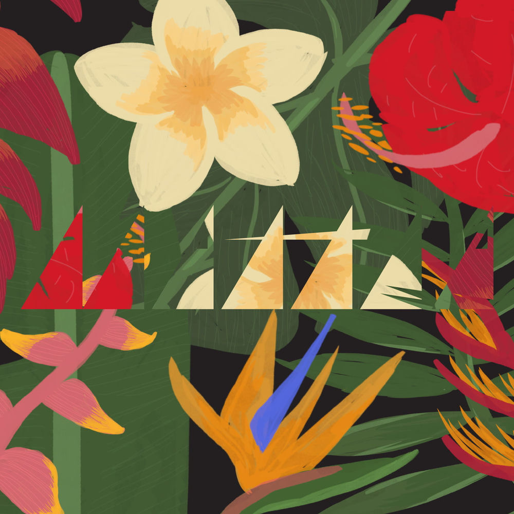 Album artwork for Kameleoni by Matter