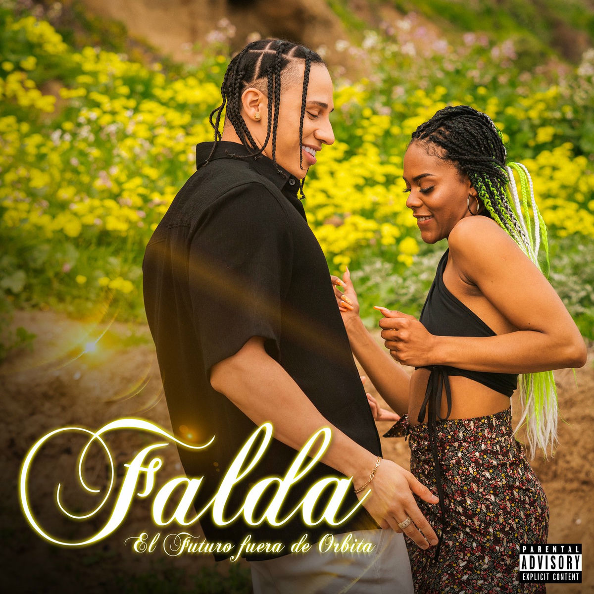 Album cover of Falda