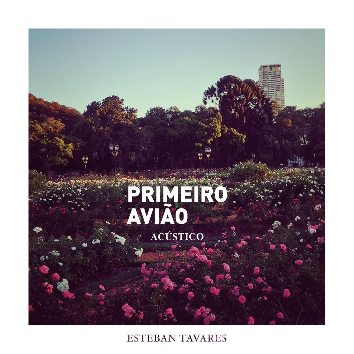 Album cover of Primeiro Avião