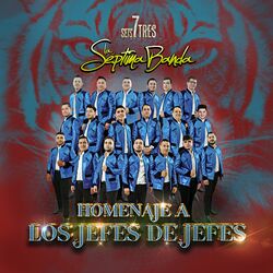Cover of Homenaje A Los Jefes De Jefes