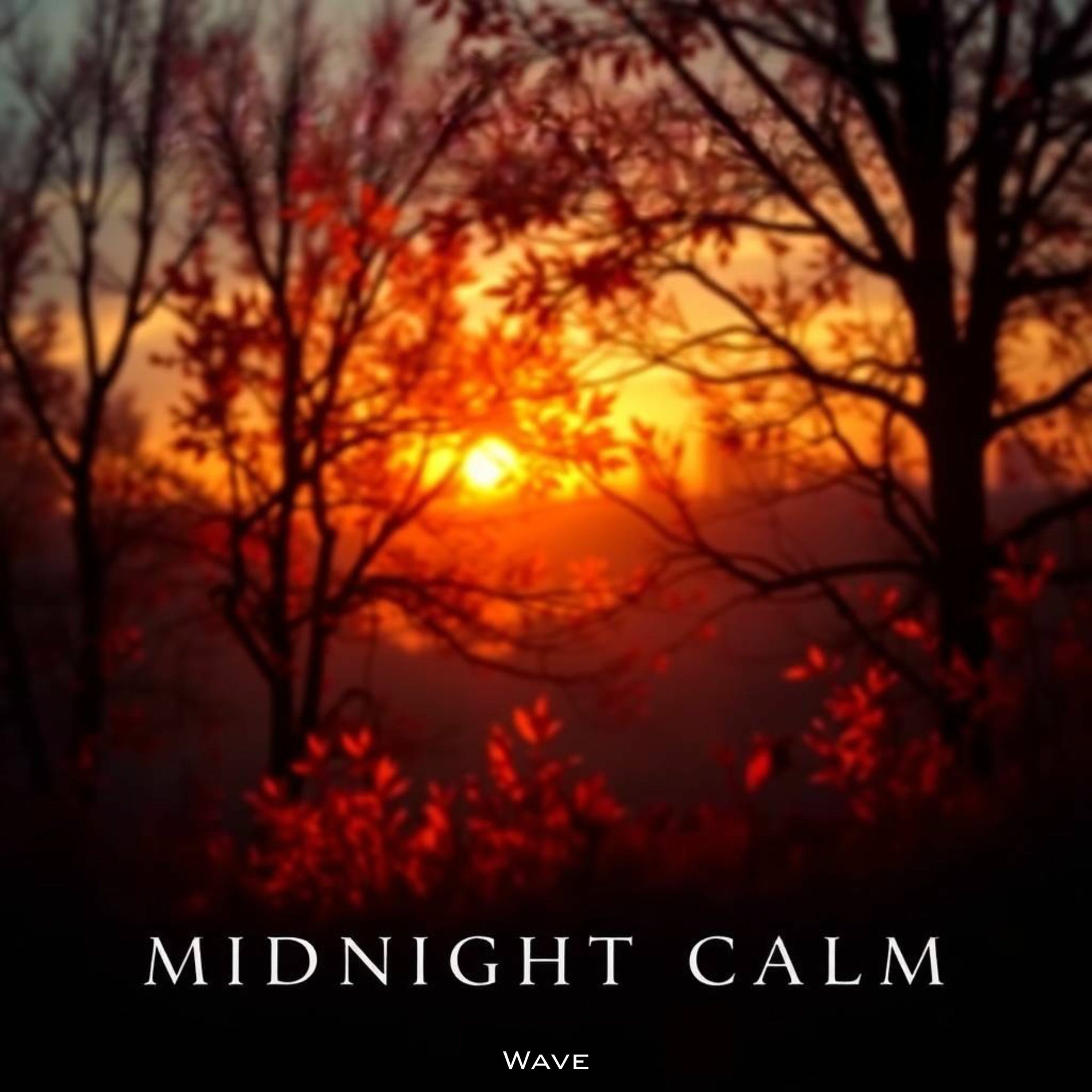 Album cover of Midnight Calm