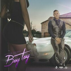 Cover of Boy Toy