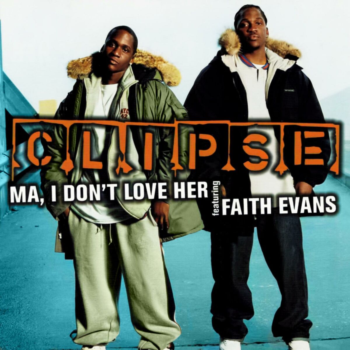Album cover of Ma, I Don't Love Her (feat. Faith Evans)