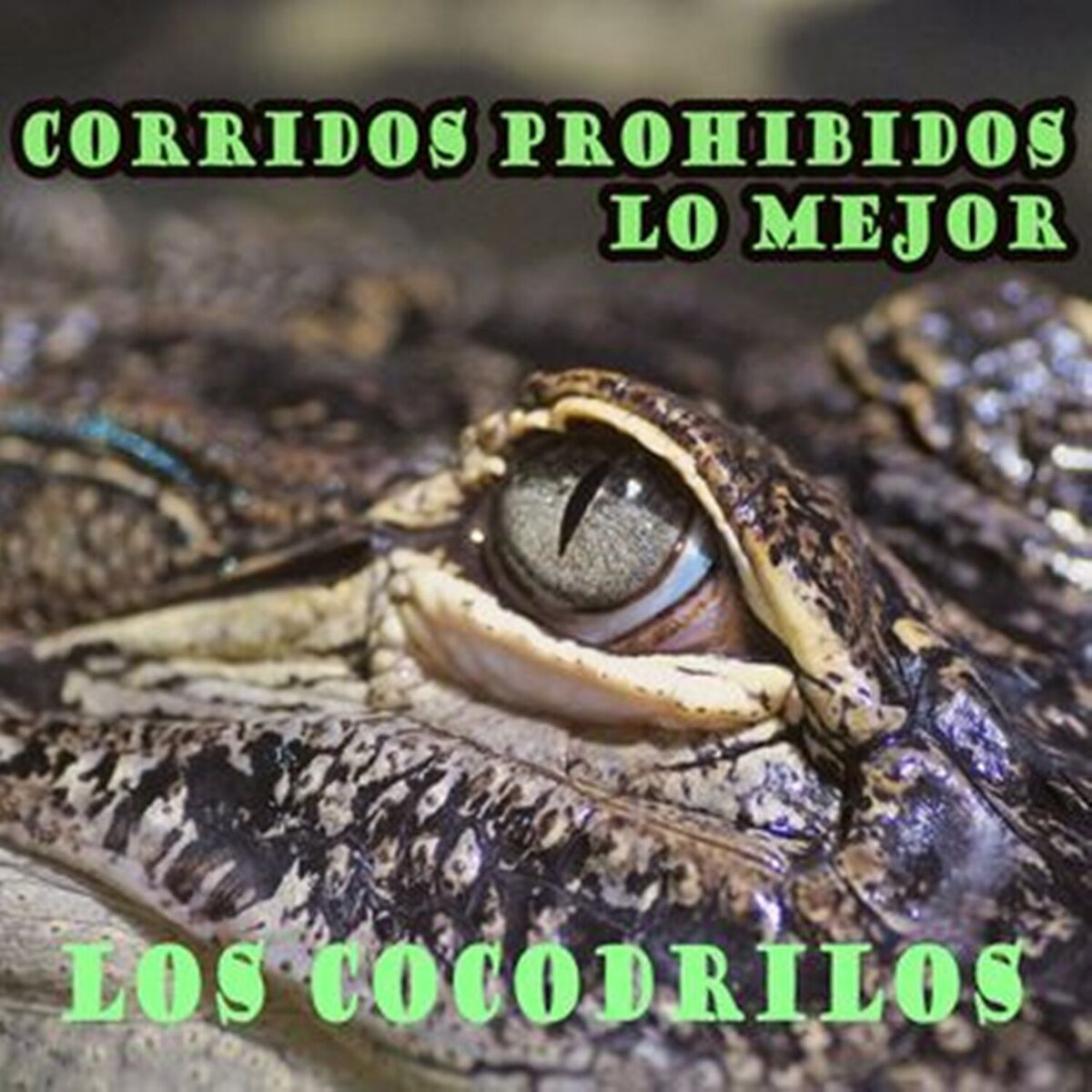 Album cover of Corridos Prohibidos, Lo Mejor: Los Cocodrilos
