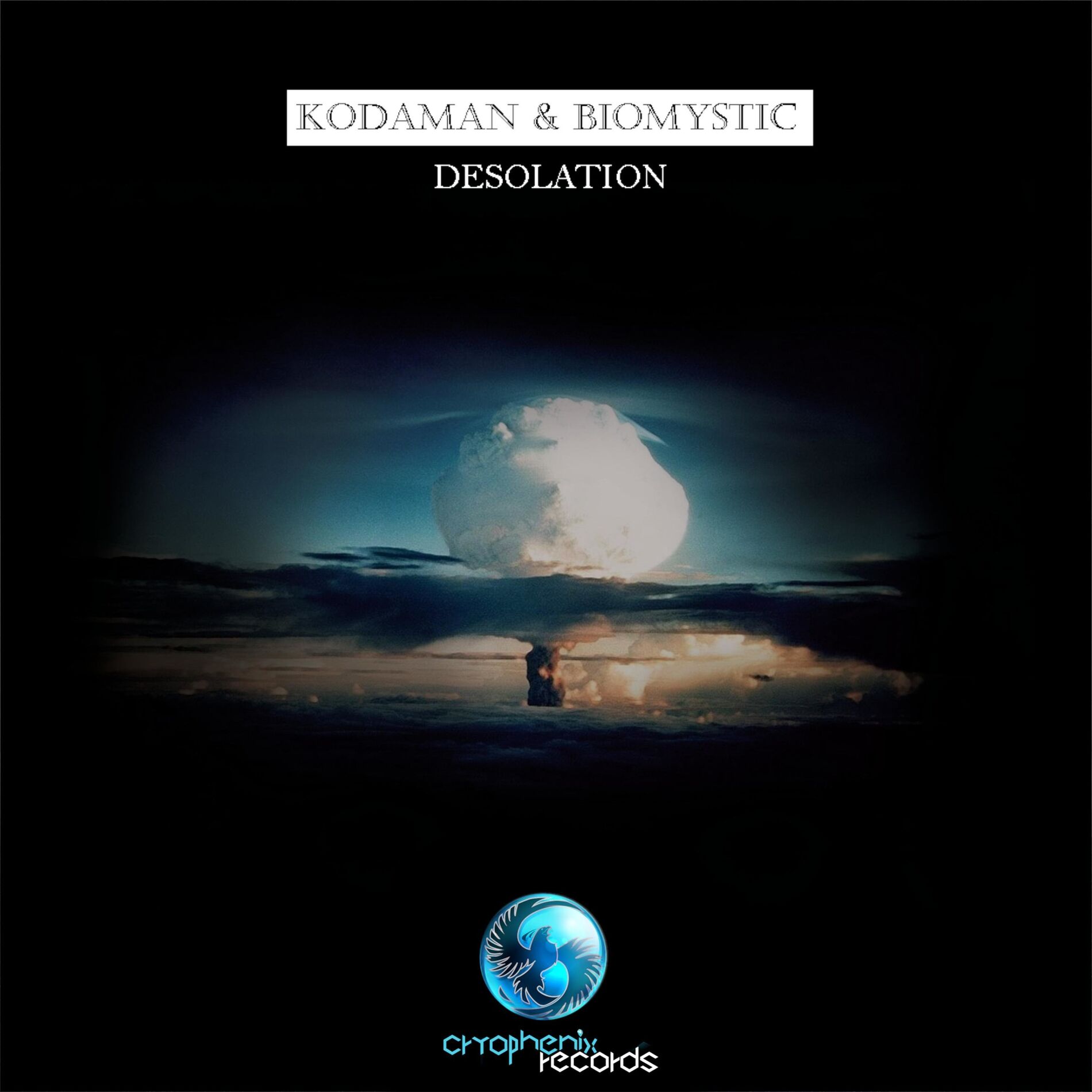 Album cover of Desolation