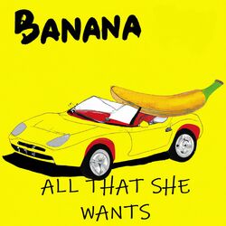 Cover of all that she wants tekno