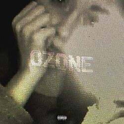 Cover of OZONE