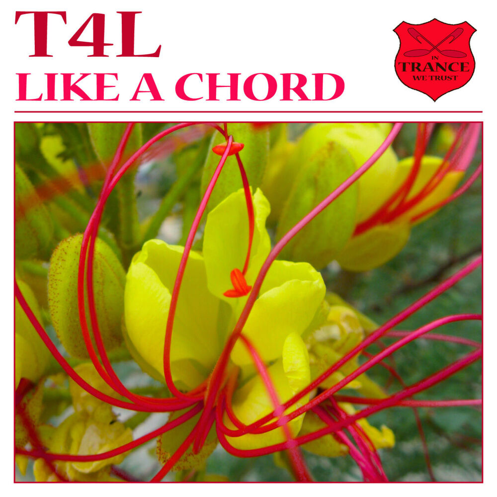 Picture of Like a Chord