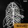 SCUD! VIP