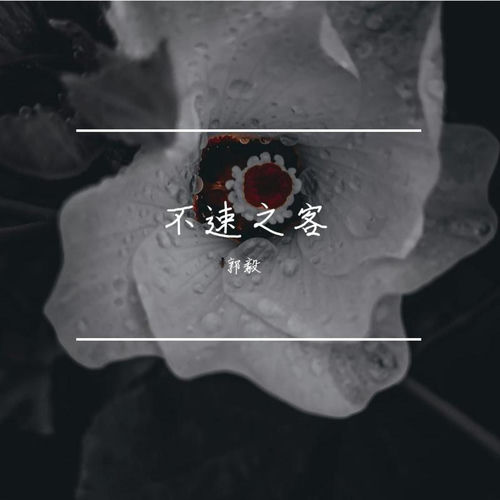 不速之客