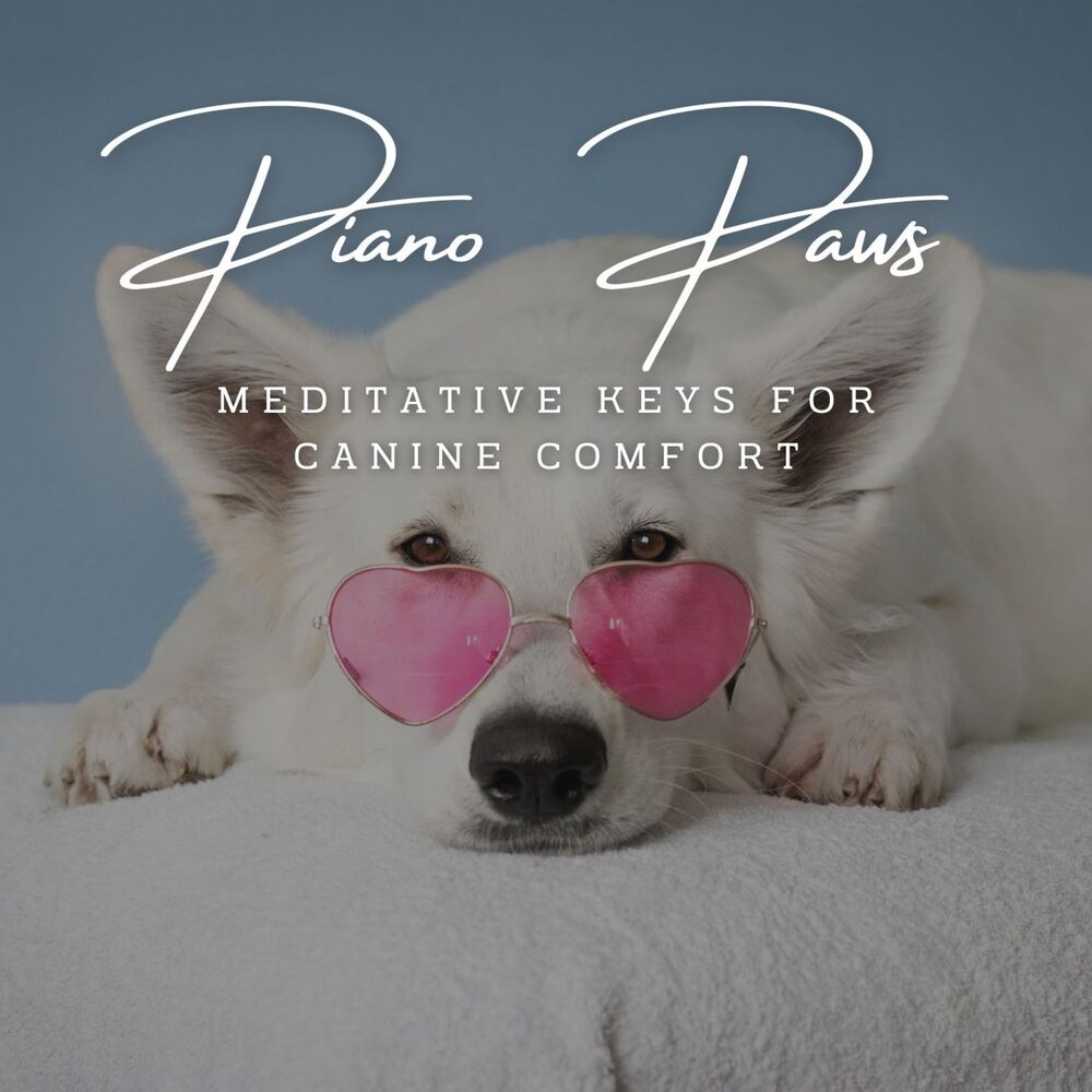 Picture of Piano Paws: Meditative Keys for Canine Comfort