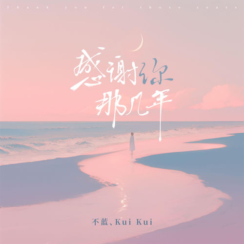感谢你那几年 (DJ侯天乐版)