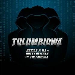 Cover of Tulumbidwa