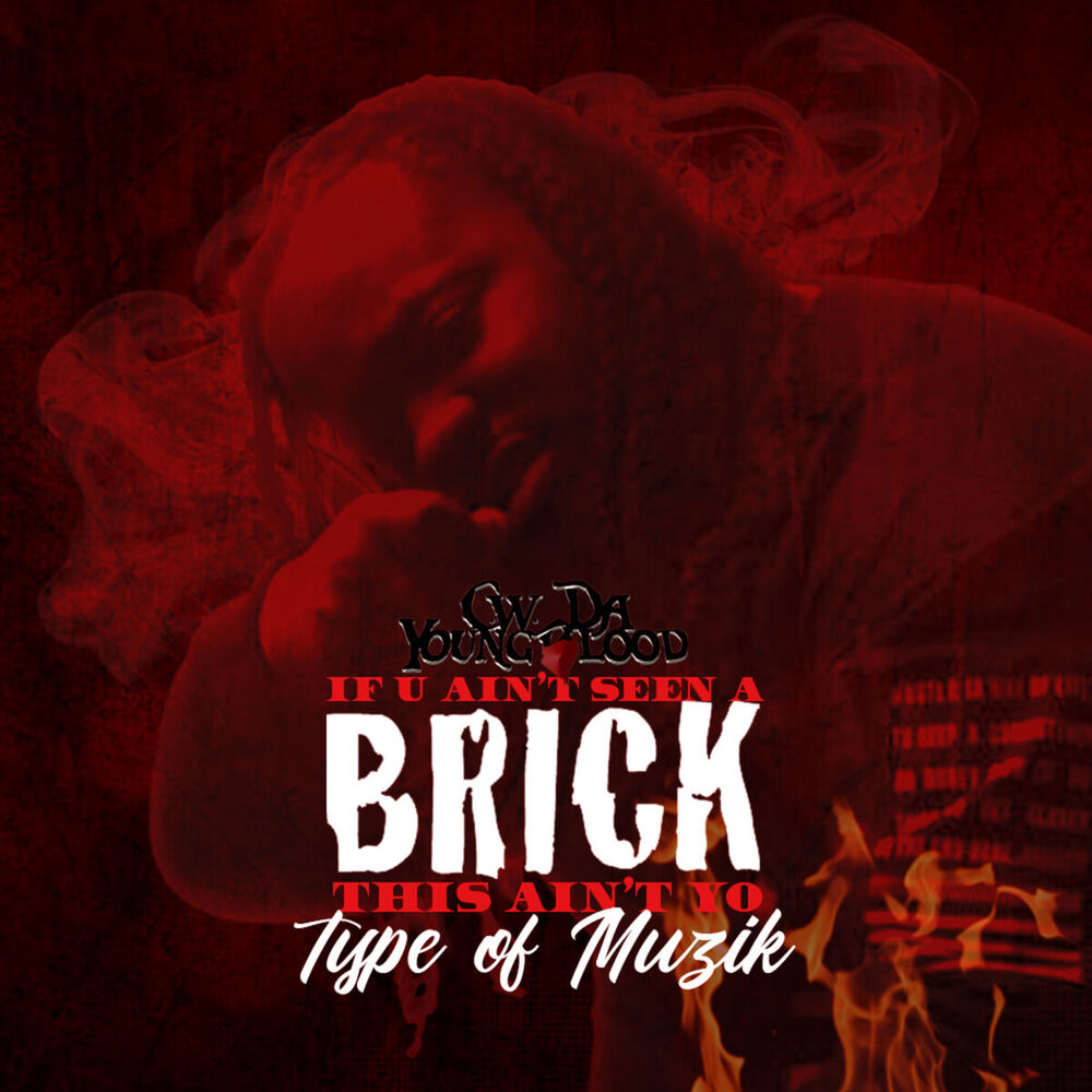 Picture of If U Ain't Seen a Brick This Ain't Yo Type of Muzik