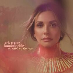 Cover of hummingbird: no rain, no flowers (deluxe)
