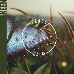 music cover