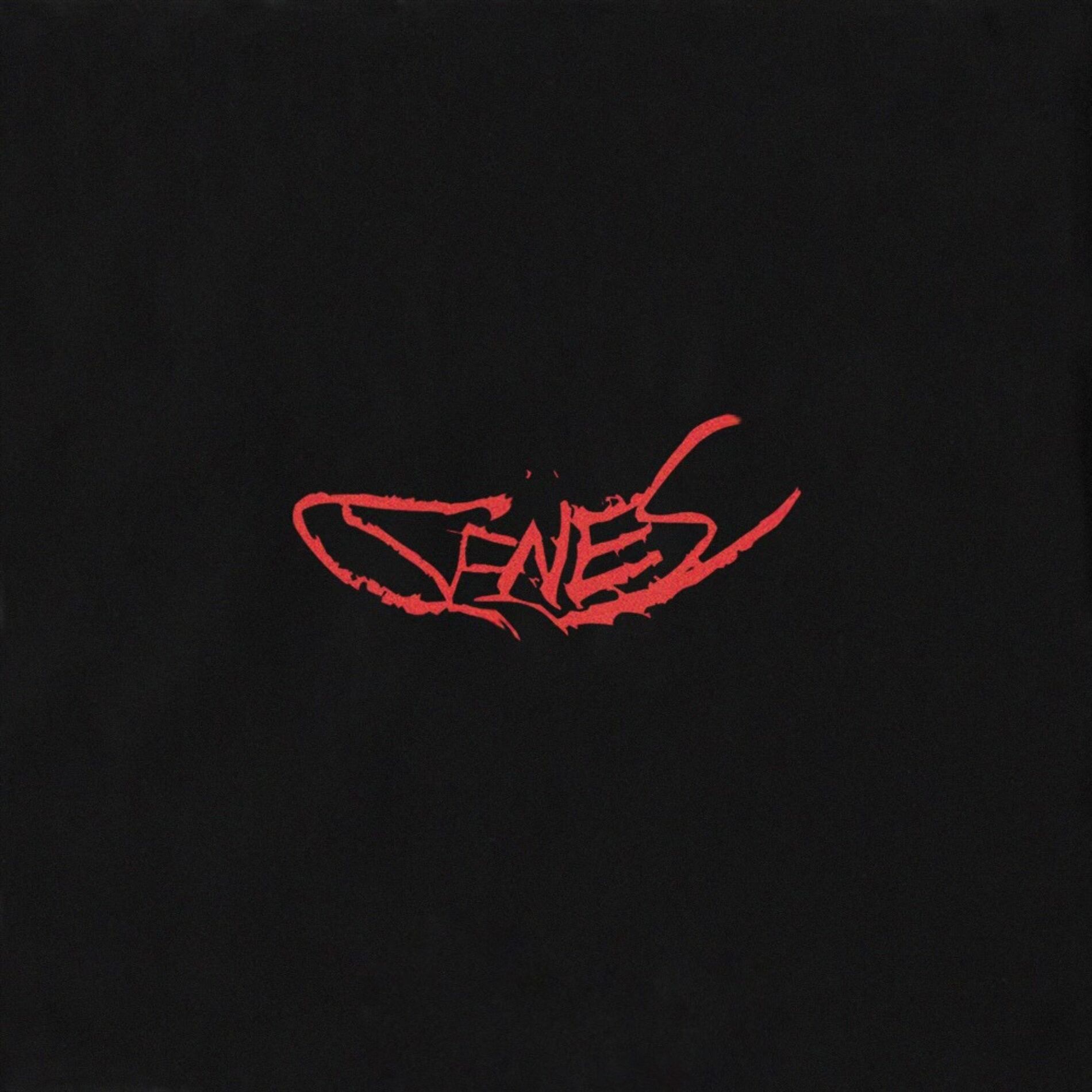 Album cover of Genes