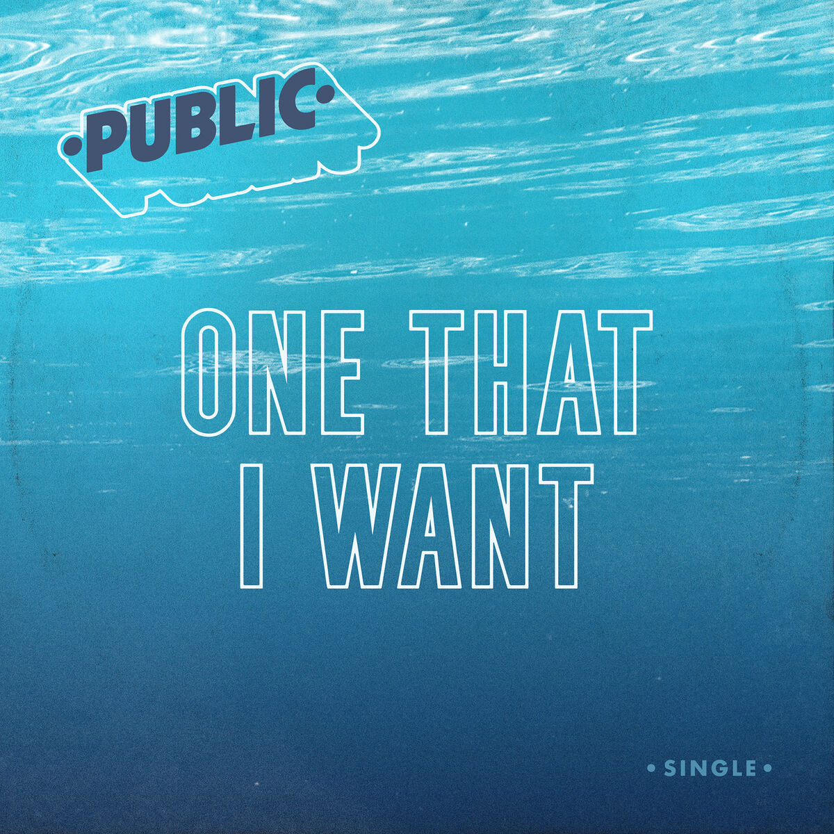Album cover of One That I Want