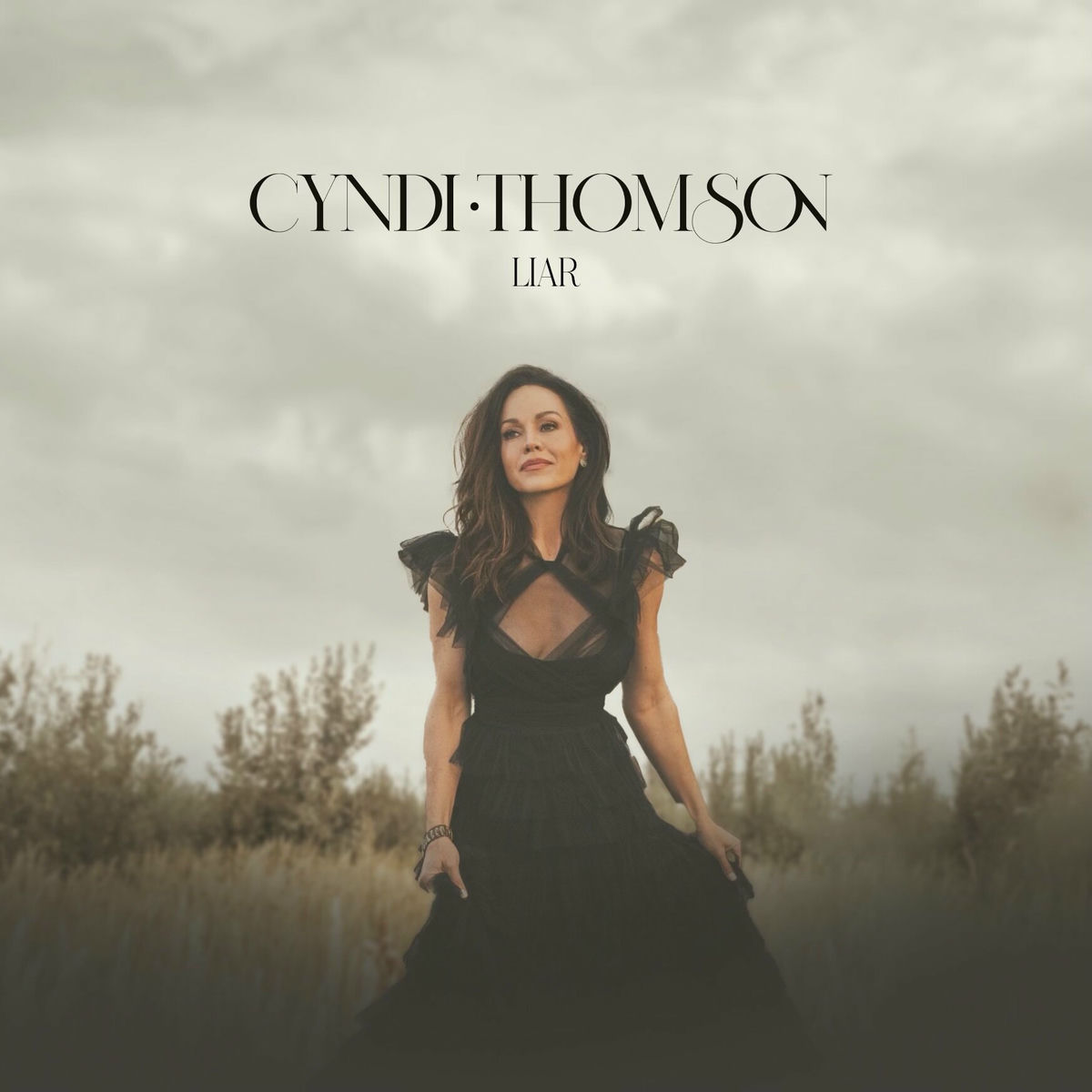 Album cover of Liar