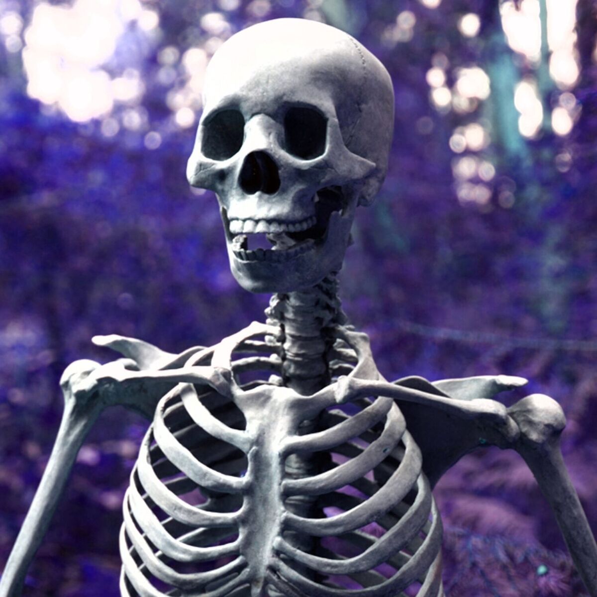Album cover of VICTIM