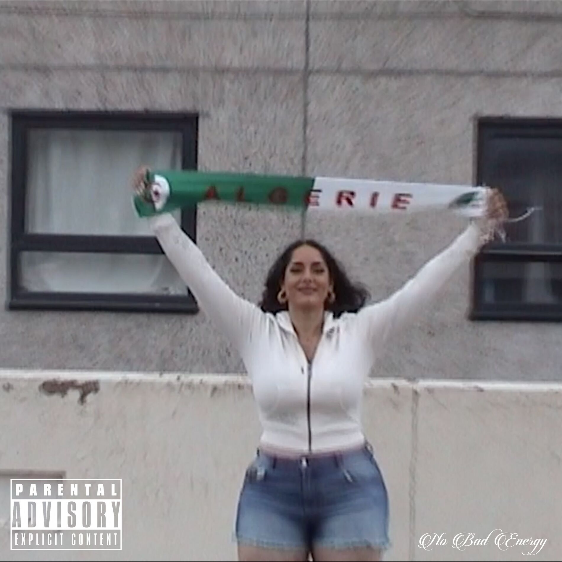 Album cover of No Bad Energy