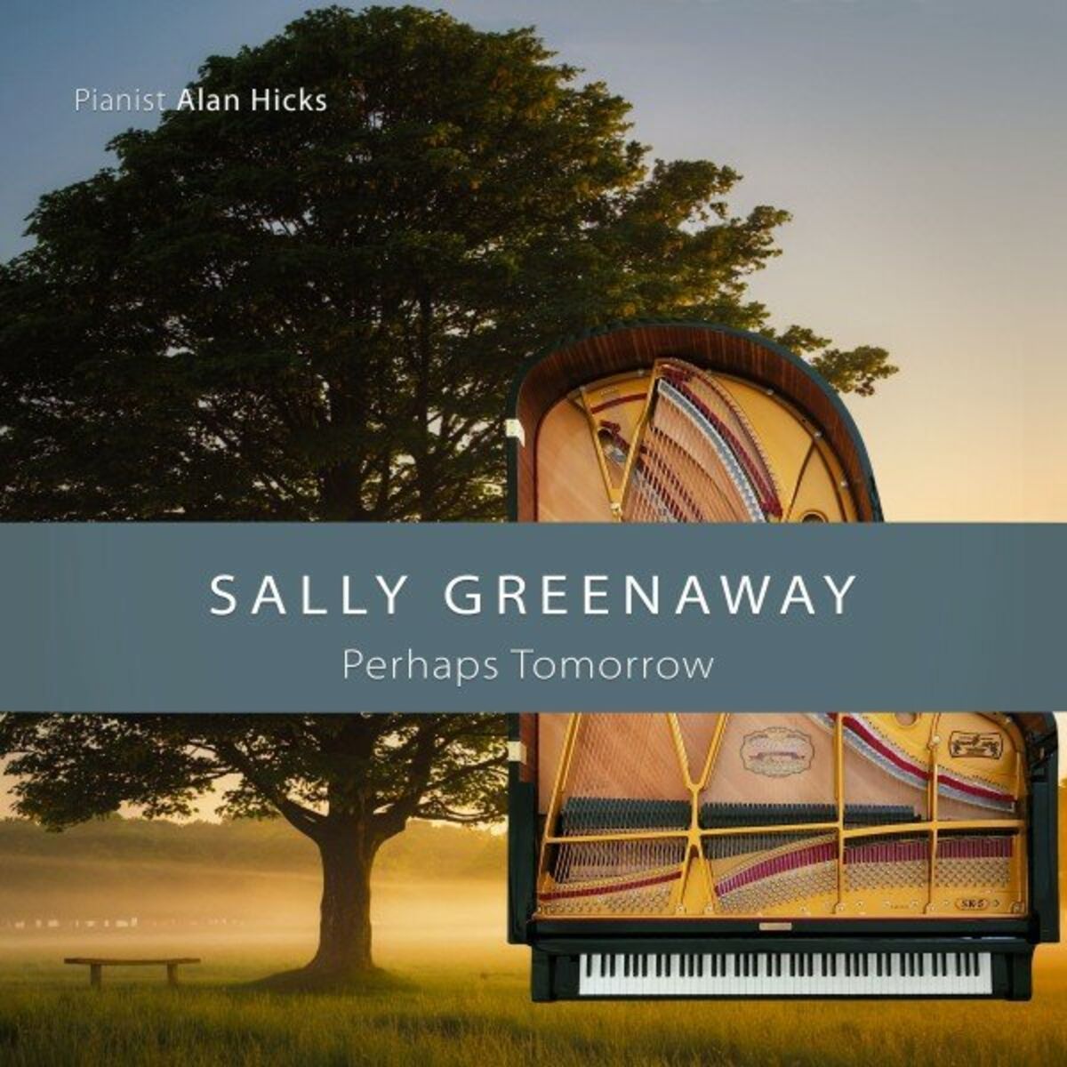 Album cover of Perhaps Tomorrow