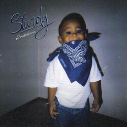 Cover of STURDY
