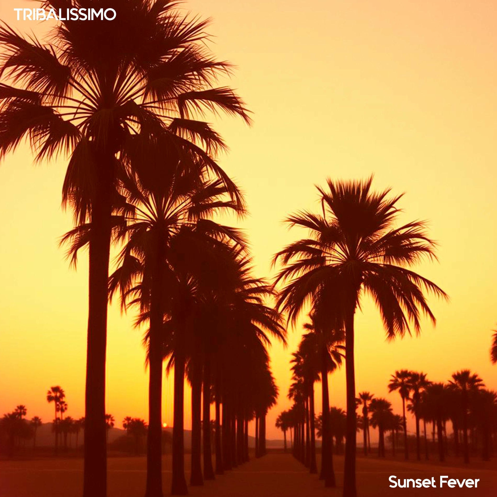 Album cover of Sunset Fever