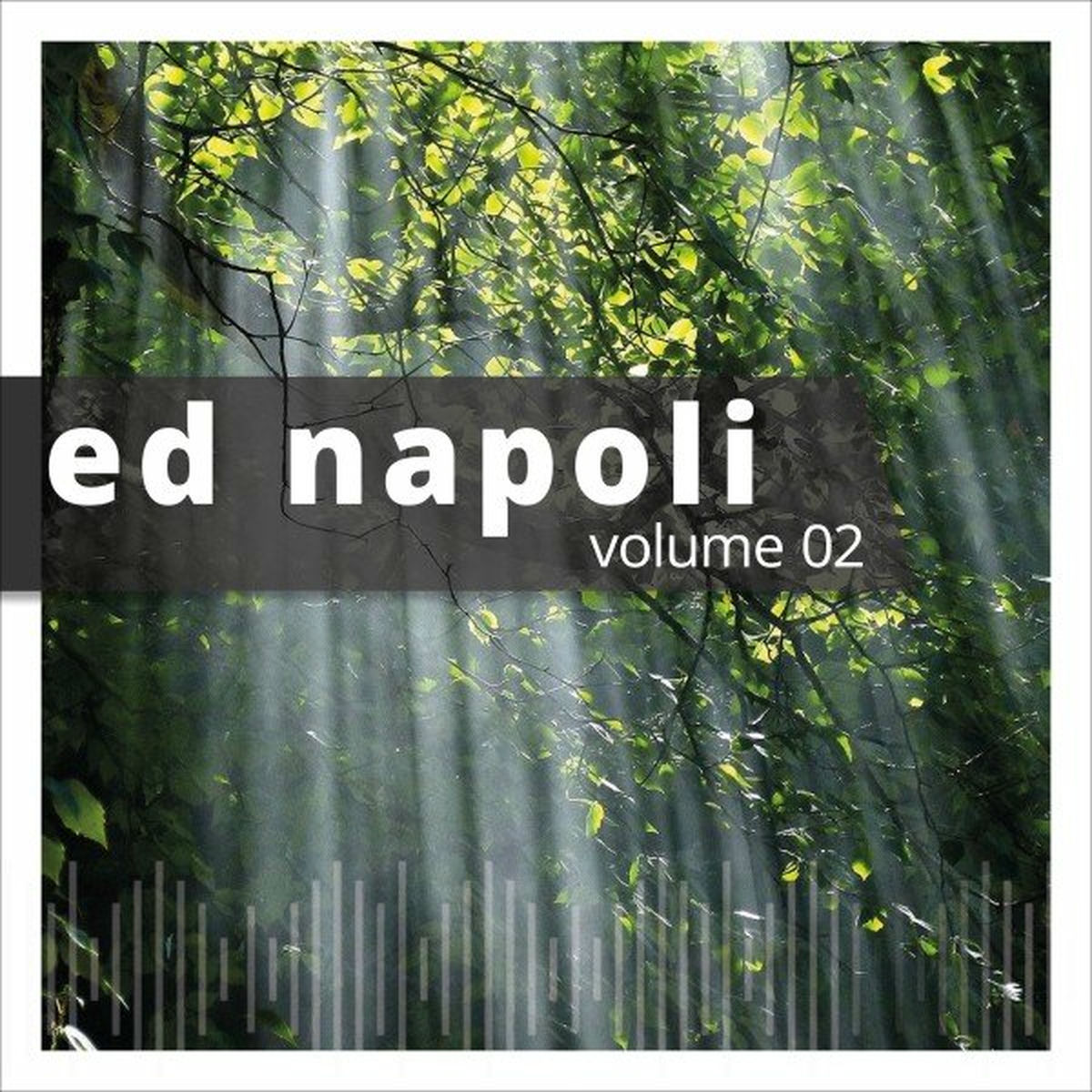 Album cover of Ed Napoli, Vol. 2