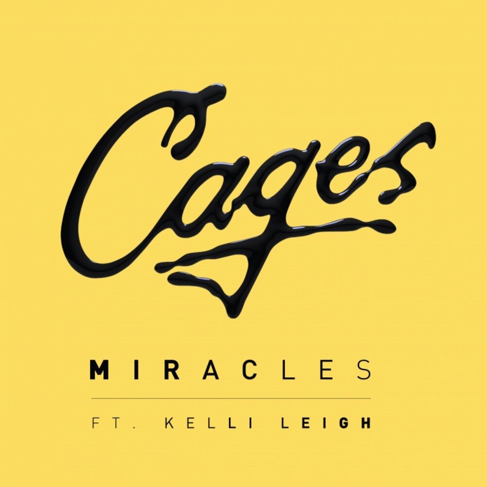 Picture of Miracles (ft. Kelli Leigh)