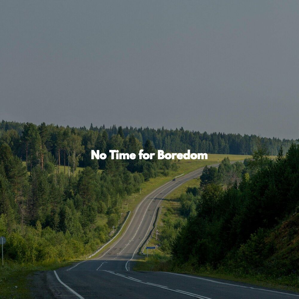 Picture of No Time for Boredom