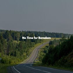 Cover of No Time for Boredom