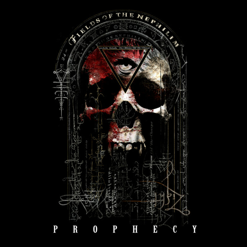 Picture of Prophecy