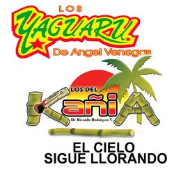 Cover of El Cielo Sigue Llorando